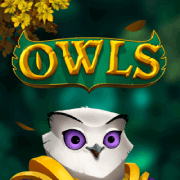Owls slot